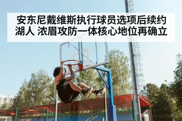 安东尼戴维斯执行球员选项后续约湖人 浓眉攻防一体核心地位再确立